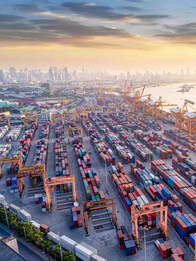 supply chain
